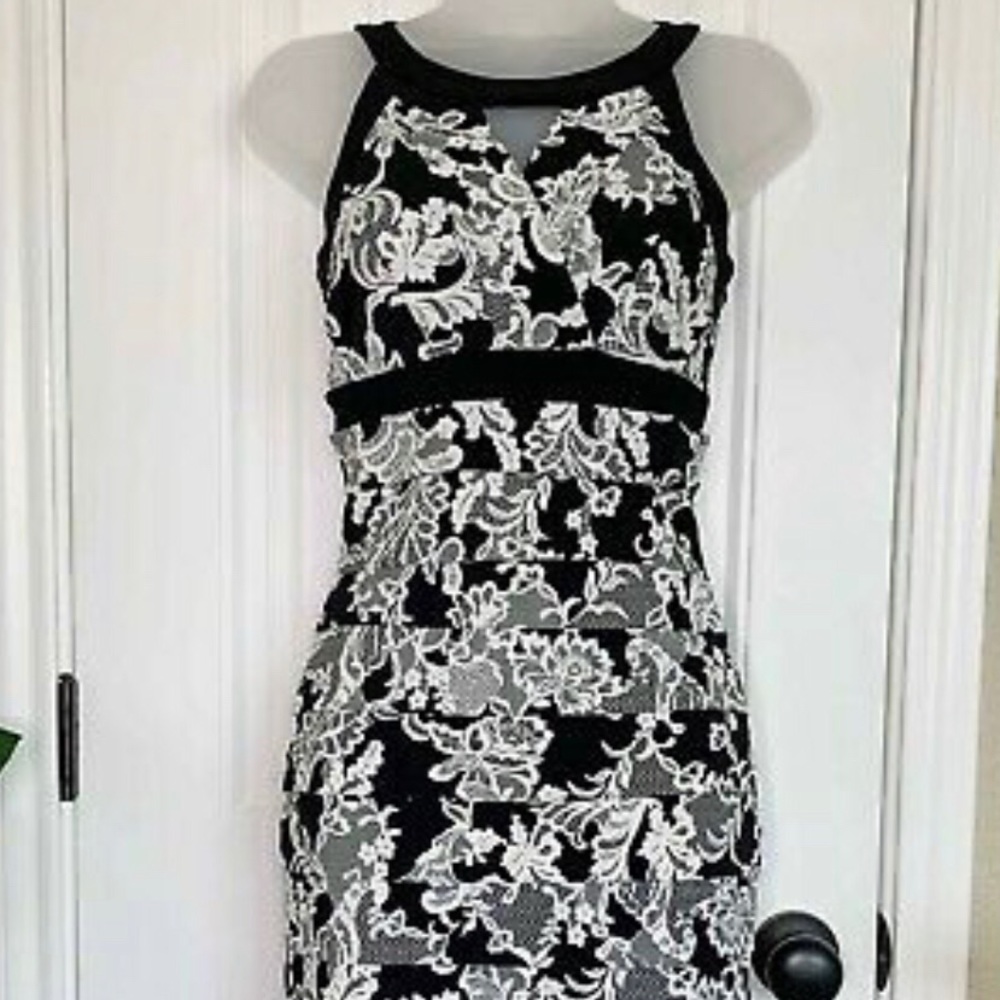 Instantly Slimming WHBM Dress
